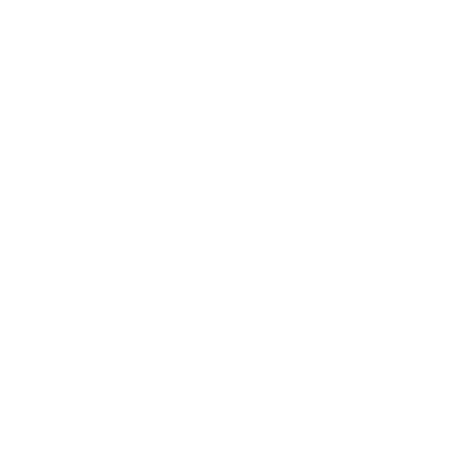 Public Security