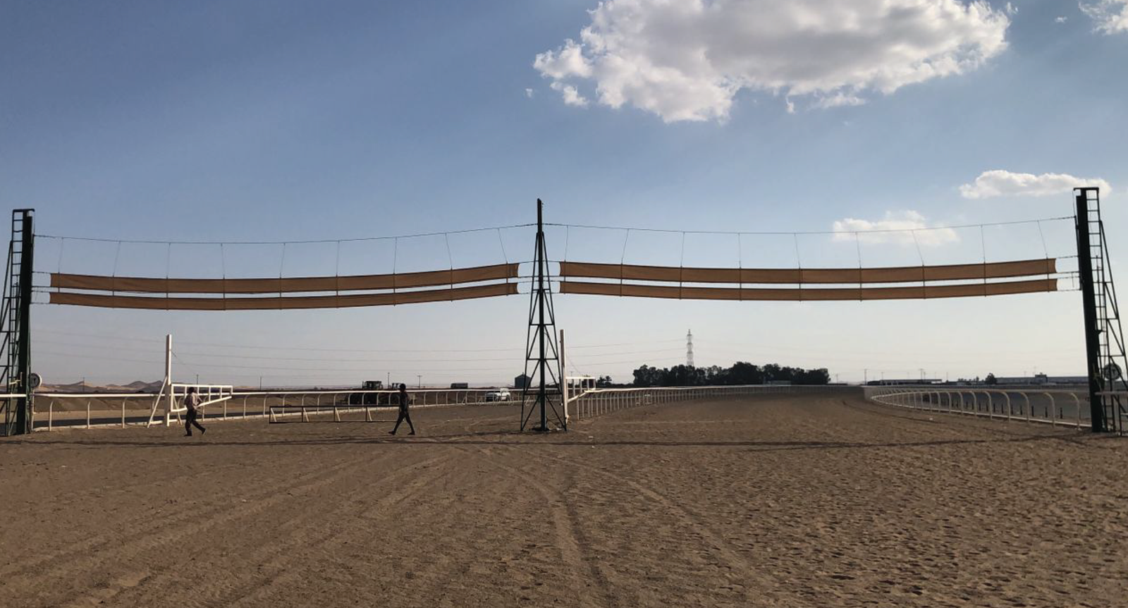 Saudi Camel Sports — photo 3